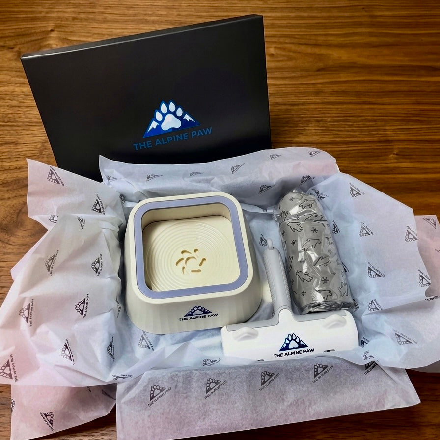 The New Arrival Box