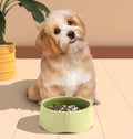 2-in-1 Precision Slow Feeder & Wellness Bowl