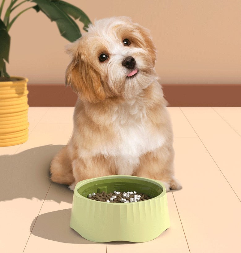 2-in-1 Precision Slow Feeder & Wellness Bowl